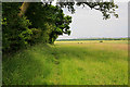 Footpath in fields north of Funtley in PO17 5EQ