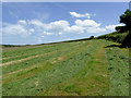 Freshly cut grass field near Stoke, Devon in EX39 6DU