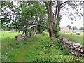 Old lane north of Humshaugh in NE46 4AW