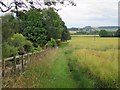Footpath west of Humshaugh in NE46 4AW