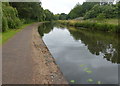 Towpath along the Nottingham & Beeston Canal in NG7 2TS