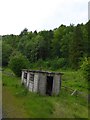 Hut by the railway, Blansby Park Wood in YO18 8JY