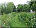 Footpath from Wilton Village Green in HR9 6PY