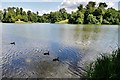 Bowood Lake: Landscaped by Launcelot "Capability" Brown in SN11 9NA