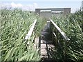 Observation Hide, Bleadon Levels Nature Reserve in BS23 4TJ