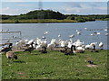 Lakeside at Queen Elizabeth 2nd Country Park in NE63 9AT