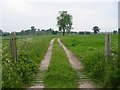 Track Leading to Cave Cottage in Sudbury