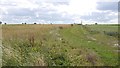 Arable land, Ellerdine Heath in TF6 6QN