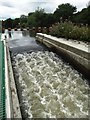 Fish pass on the River Don at Sprotborough in DN5 7NE