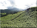 View west from Loughrigg Fell in LA22 9SA