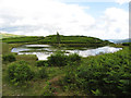 Lily Tarn on Loughrigg Fell in LA22 9SA
