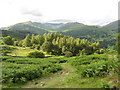 View north from Loughrigg Fell in LA22 9SA