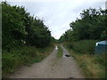 Back Lane (track), Bridgham in NR16 2SP