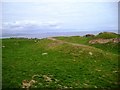 Earthwork near Portyerrock, Wigtonshire in DG8 8HW