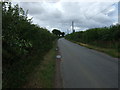 Minor road towards Over Cross in NR16 2BY