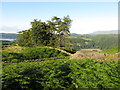 Hillside above Ambleside in LA22 9BH