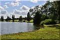 Bowood Lake: the northernmost part in SN11 9NA
