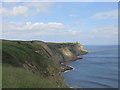 Coastal scenery near Gnipe Howe in YO22 4LH
