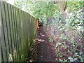 High Wycombe: Footpath between Marlow Road and Shelley Road in HP11 2UA