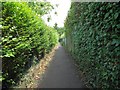 High Wycombe: Footpath between Marlow Road and Shelley Road in HP11 1TL