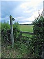 Footpath to Todburn in NE65 8RA