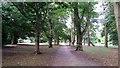 Avenue of trees, Cannizaro Park, Wimbledon in SW20 0EH
