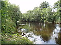 South Esk at Finavon in DD8 3QB