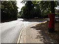 Tuddenham Road & 123 Tuddenham Road Postbox in IP4 4AL