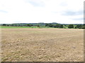 View from footpath across fields west of Bury Road in RH20 1HE