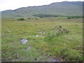 Boggy route to Glas Bheinn track in IV54 8UE