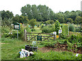 Allotments off Hale Road in GU9 9FN