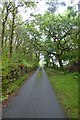 Road through Coed Garth Byr in LL47 6UF