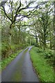 Road climbing through Coed Garth Byr in LL47 6UF