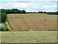 Tracks in a wheat field in GU10 5DW