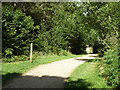 A main track, Alice Holt Forest in GU10 4EP