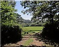 Gate on Wessex Ridgeway in DT7 3TX