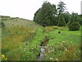 Henwell Burn at Aberlemno in DD8 3PE