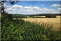 Farmland near Newenham Abbey in LCPs of Axminster and Kilmington