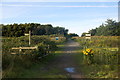Access to community woodland, Sefton in Sefton
