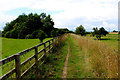 Bridleway between Brafferton and The River Swale in YO61 2PG