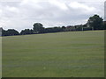 Playing Fields - off Hull Road in HU19 2LU