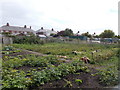 Allotments - off Hull Road in HU19 2LU