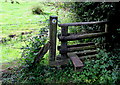 Stile in the southern corner of Catbrook Village Green in NP16 6NJ