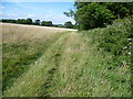 Footpath past Molehilly Shaw in BN6 8UZ