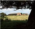 Farm buildings on Heigham Holmes in NR29 4RG