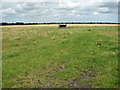 Cattle feeder in pasture in NR29 4RG