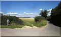 Gore Lane at Hill Farm in DT7 3NF