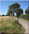 Road to Hill Farm in DT7 3NF