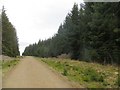 Logging road, Drumcroy Hill in PH16 5SD
