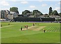 Chelmsford: white-ball cricket in CM2 0ND